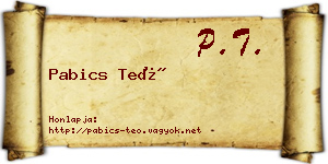 Pabics Teó névjegykártya